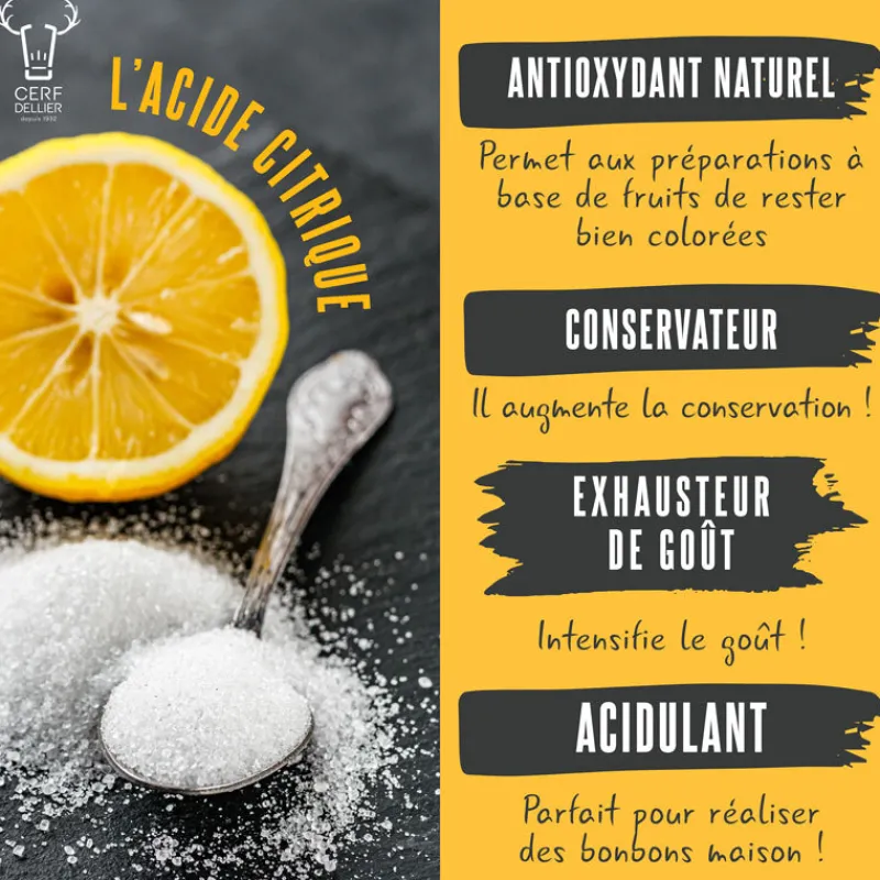 Cerf Dellier Acide Citrique 20 g
