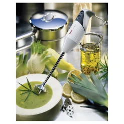 Cerf Dellier Bamix mixeur Gastro 200 blanc tube 18,5 cm