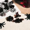 Cerf Dellier Coffret Je fais mes bonbons d'Halloween