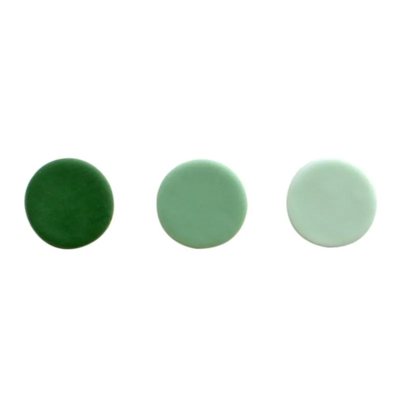 Cerf Dellier Colorant alimentaire naturel vert sapin PME