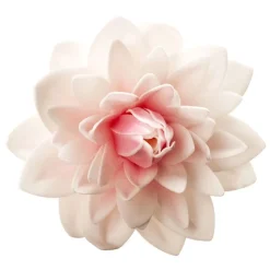Cerf Dellier Dahlia rose géant azyme