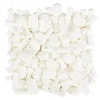 Cerf Dellier Décors comestibles crânes blancs Wilton