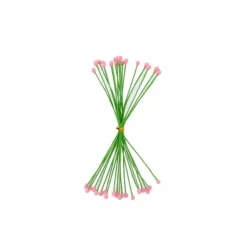 Cerf Dellier Etamines roses pour fleurs pâte à sucre (x40)