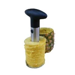Cerf Dellier Evide ananas inox