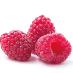 Cerf Dellier Extrait de framboise 20% 50 ml