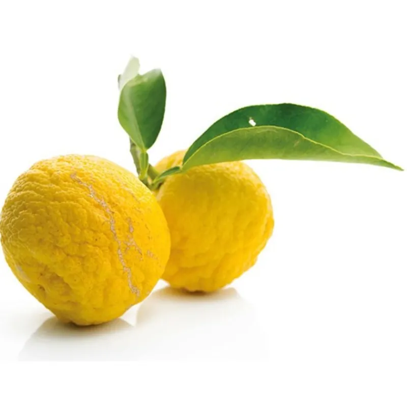 Cerf Dellier Extrait de yuzu 50 ml