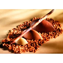 Cerf Dellier Flexipan 60x40 plaque de 100 petites quenelles 4,4x2,2x1,7  cm
