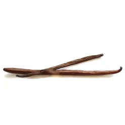 Cerf Dellier Gousse de Vanille Bourbon Madagascar (x2)