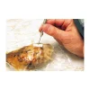 Cerf Dellier Joint adhésif blanc pour sacs sous-vide