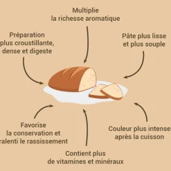 Cerf Dellier Levain de blé dur 150 g
