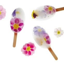 Cerf Dellier Moule à esquimaux silicone Waikiki + 50 bâtons
