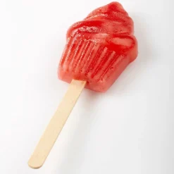 Cerf Dellier Moule à esquimaux silicone Cupcake + 50 bâtons