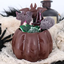 Cerf Dellier Moule chocolat citrouille d'Halloween