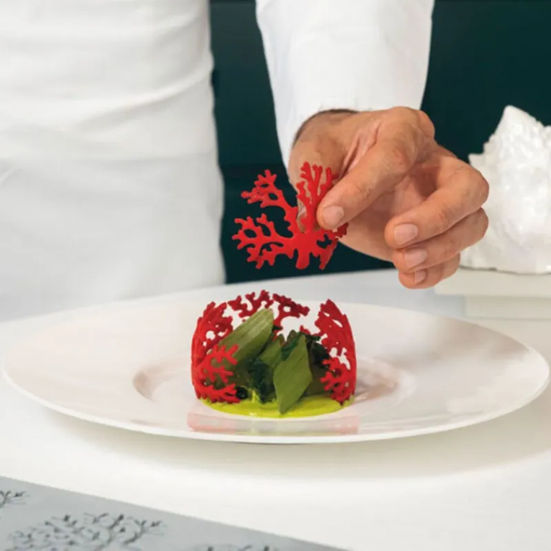 Cerf Dellier Moule silicone Corail Pavoni