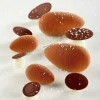 Cerf Dellier Moule silicone mini quenelles Pavoni