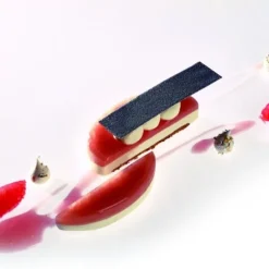 Cerf Dellier Moule silicone Oval Pavoni