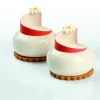 Cerf Dellier Moule silicone Planet Pavoni