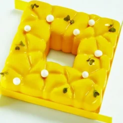 Cerf Dellier Moule silicone Square Pavoni