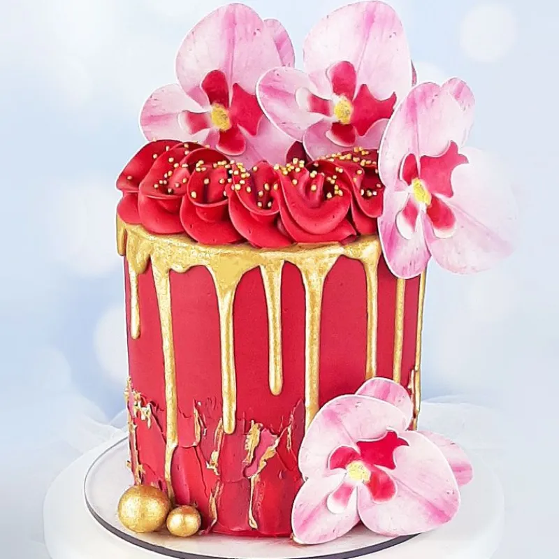 Cerf Dellier Orchidées roses azyme (x10)