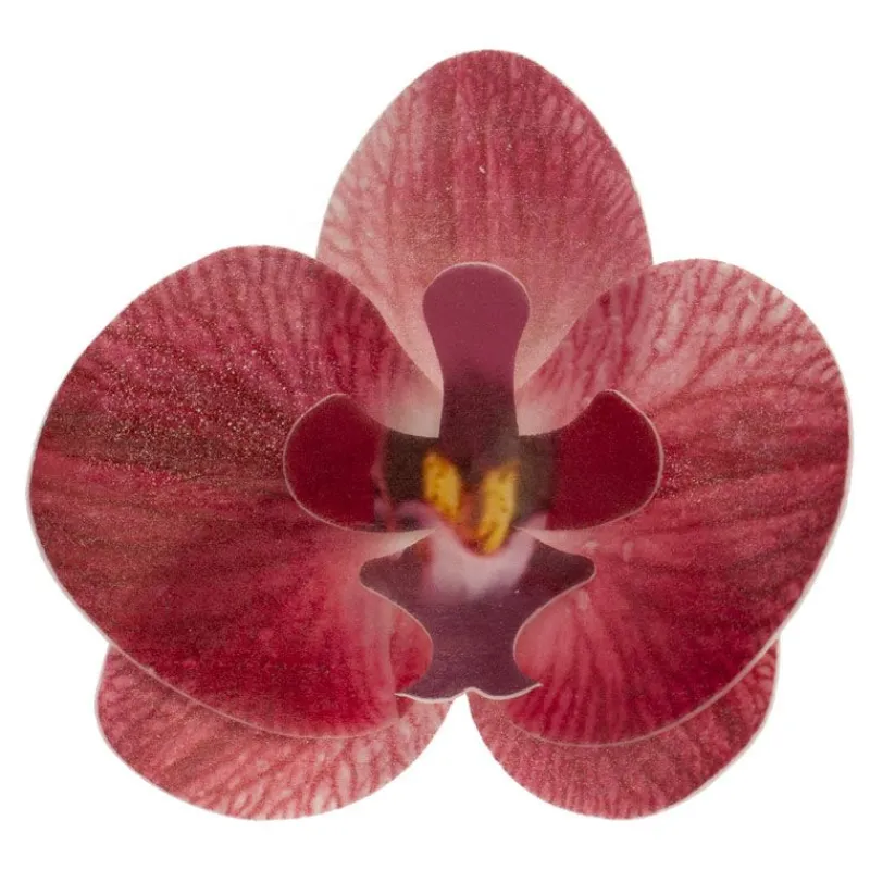 Cerf Dellier Orchidées rouges azyme (x10)