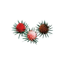 Cerf Dellier Pommes de pin assorties sur pique (x 72)