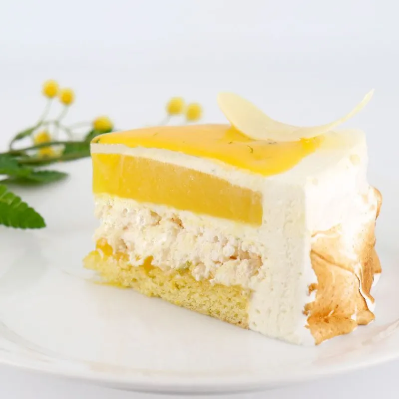 Cerf Dellier Préparation bavarois citron 100 g