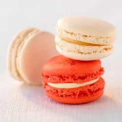 Cerf Dellier Préparation coques de macarons 1 kg