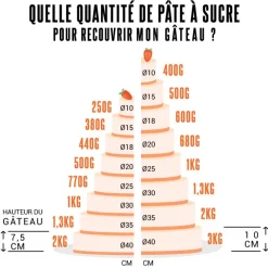 Cerf Dellier Pâte à sucre blanche arôme vanille 10 kg
