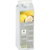 Cerf Dellier Purée de pina colada Ravifruit 1 kg