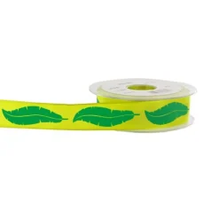 Cerf Dellier Ruban plumes anis 25 mm (20 m)