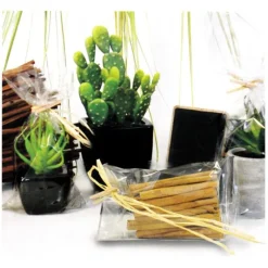 Cerf Dellier Sachets plats polypropylène - 120 x 240 mm (x100)