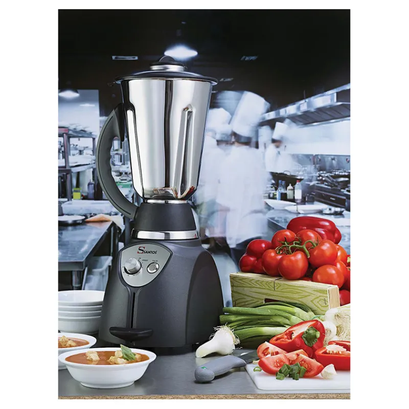 Cerf Dellier Santos blender n°37 base moteur seule