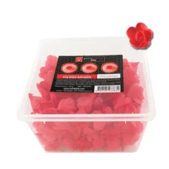 Cerf Dellier Tulipes rouges en azyme (x200)